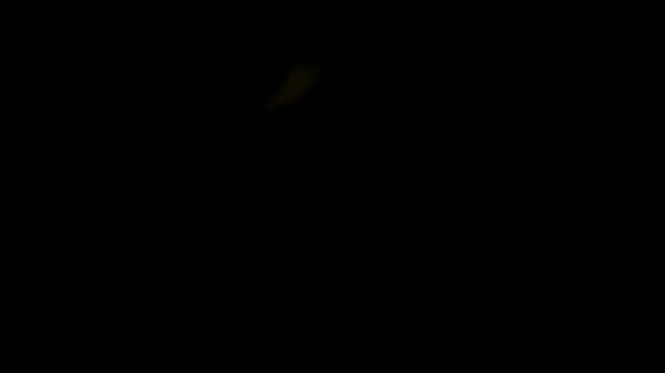 La jade del guadalajara se chupa mi verga mientras se ve la luna.
